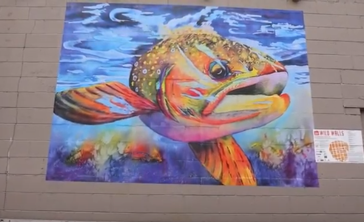 Colorful trout painting.